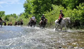 Fethiye Horse Safari - 1